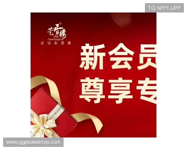 新濠国际娱乐：会员专属福利与持续更新的促销活动详解